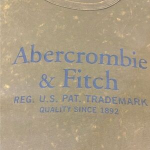 Abercrombie & Fitch Olive Tee with Navy Label